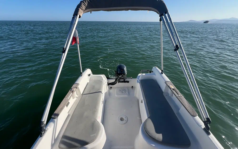 slider 1 B2 Marine Cap Ferret 452