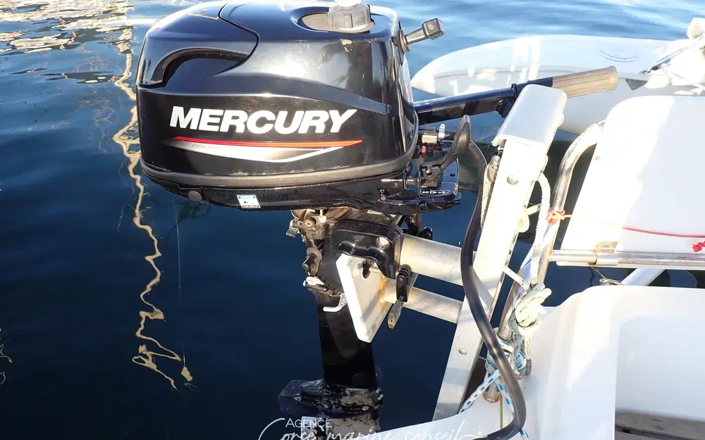 slider 10 Dragonfly 800