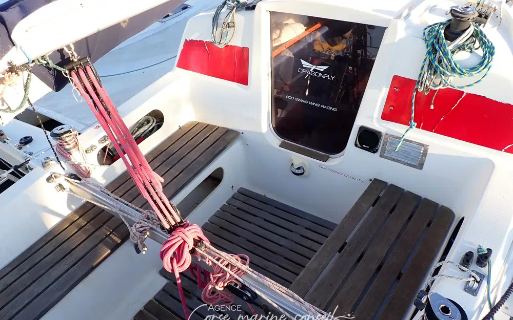 slider 16 Dragonfly 800