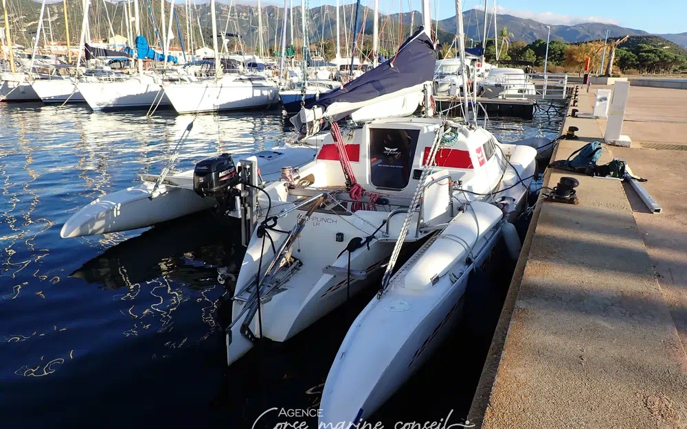 slider 17 Dragonfly 800