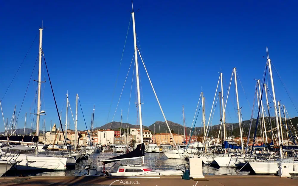 slider 18 Dragonfly 800