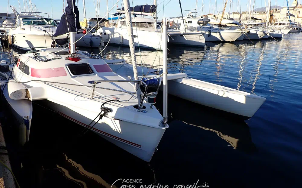 slider 19 Dragonfly 800