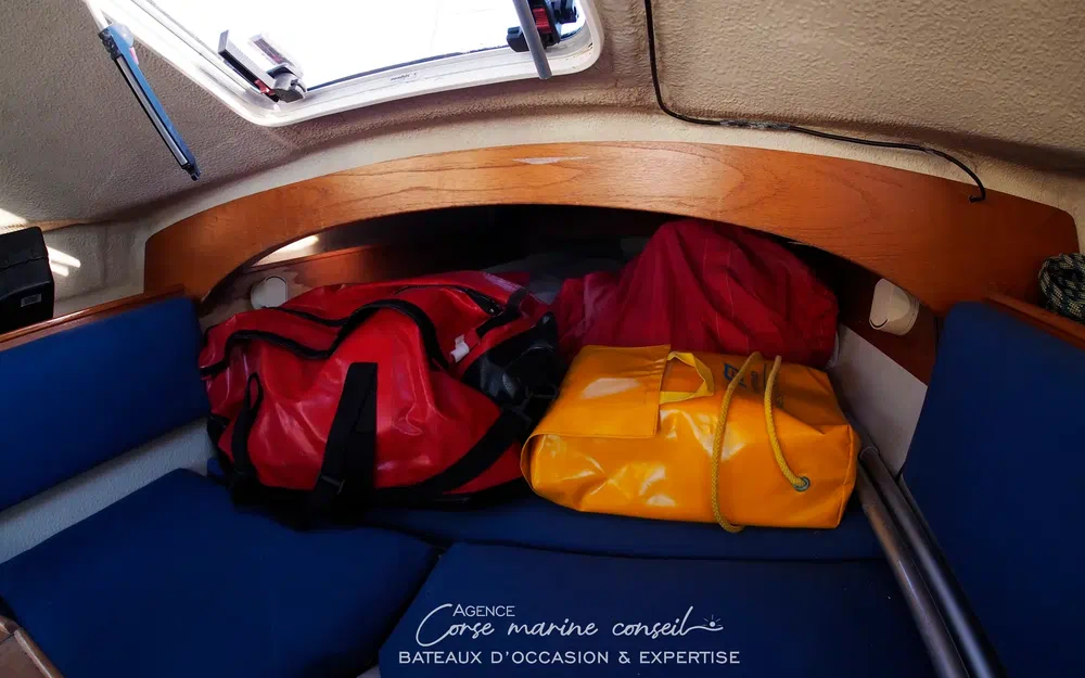 slider 4 Dragonfly 800