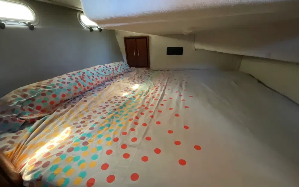 slider 21 Bayliner 3288 Fly