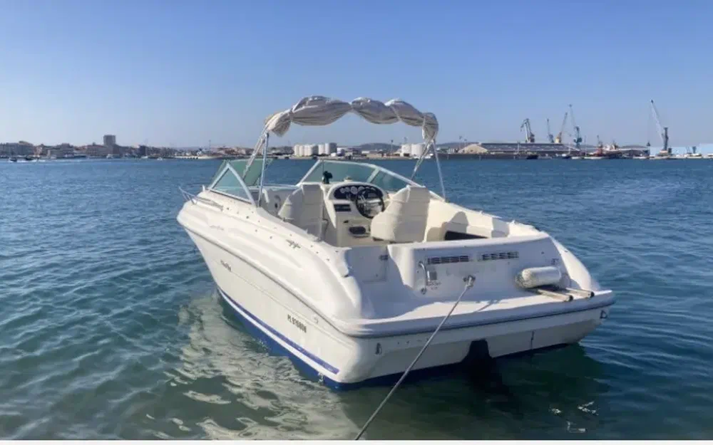 slider 1 Sea Ray 210