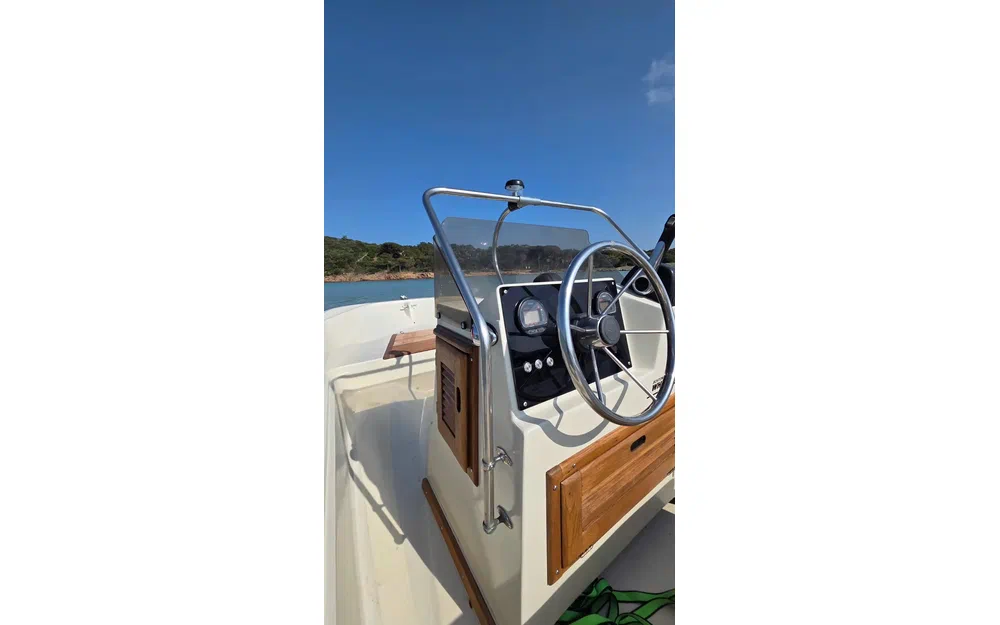 slider 3 Boston Whaler 17 Montauk