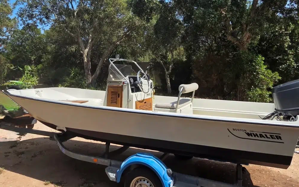 slider 0 Boston Whaler 17 Montauk