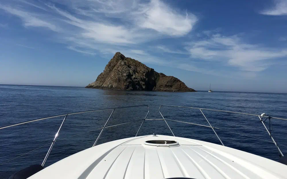 slider 10 Princess V42