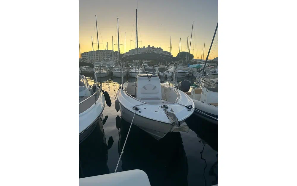 slider 2 Boston Whaler 240 Outrage