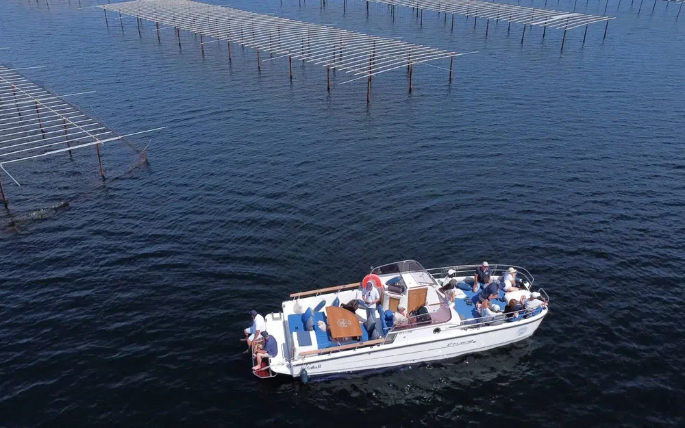 slider 1 Pinball Boat Pinball E-hybrid