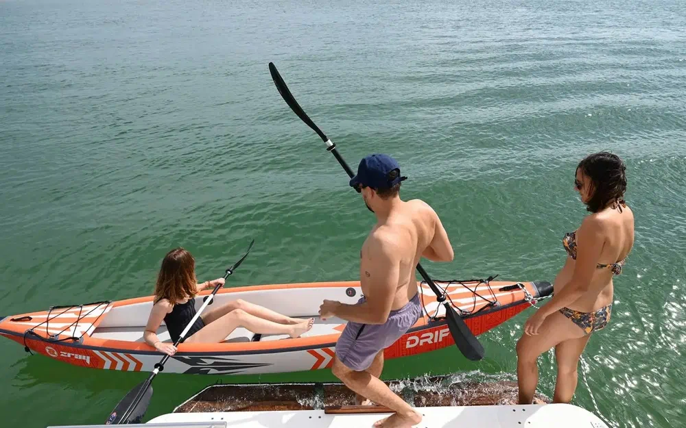 slider 5 Pinball Boat Pinball E-hybrid