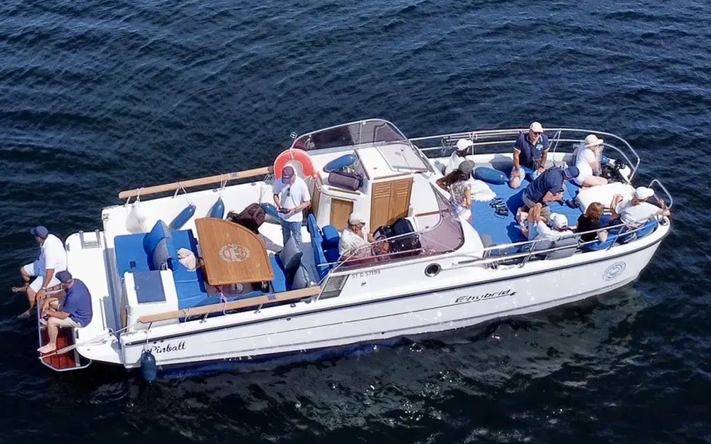 slider 9 Pinball Boat Pinball E-hybrid