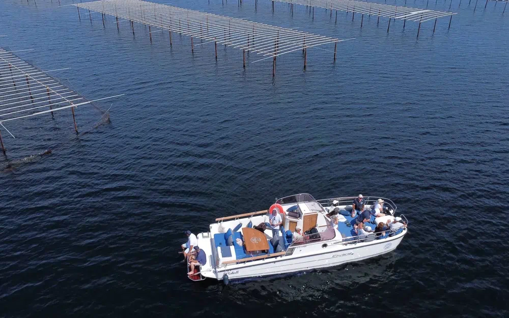 slider 9 Pinball Boat Pinball E-hybrid