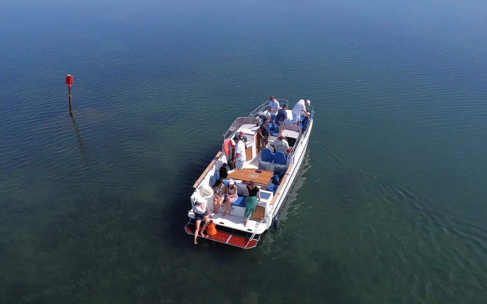 slider 10 Pinball Boat Pinball E-hybrid