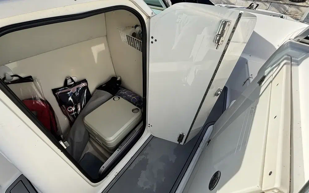 slider 11 Boston Whaler 210 Ventura