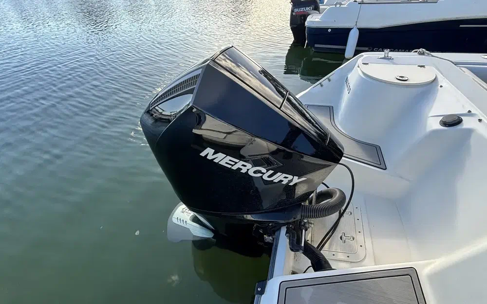 slider 17 Boston Whaler 210 Ventura