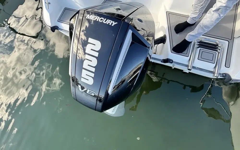 slider 18 Boston Whaler 210 Ventura