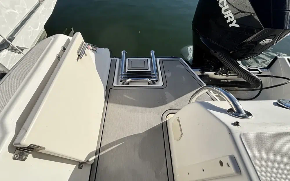 slider 19 Boston Whaler 210 Ventura