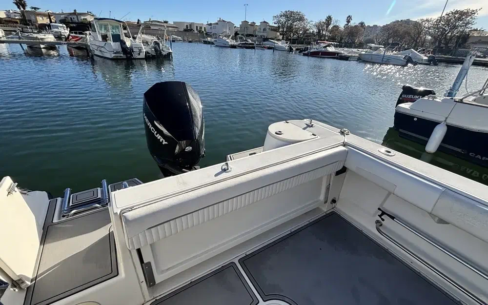 slider 21 Boston Whaler 210 Ventura