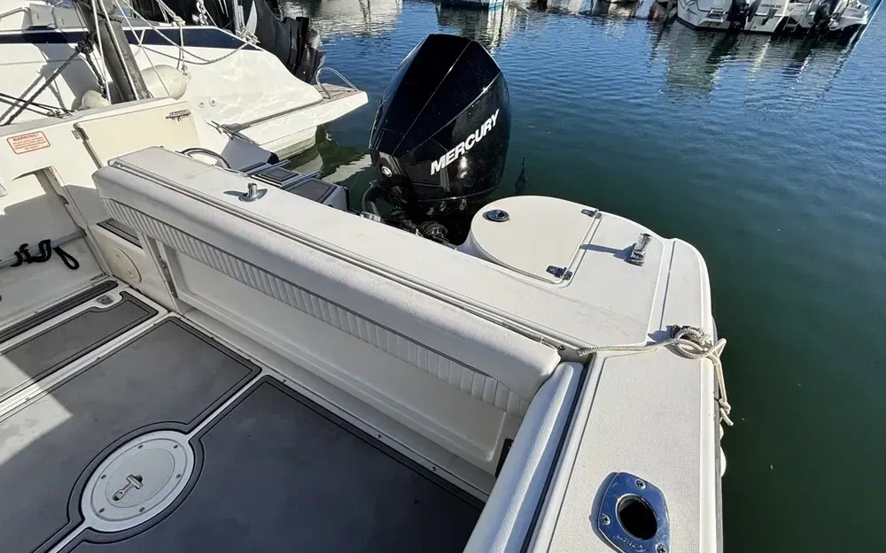 slider 22 Boston Whaler 210 Ventura