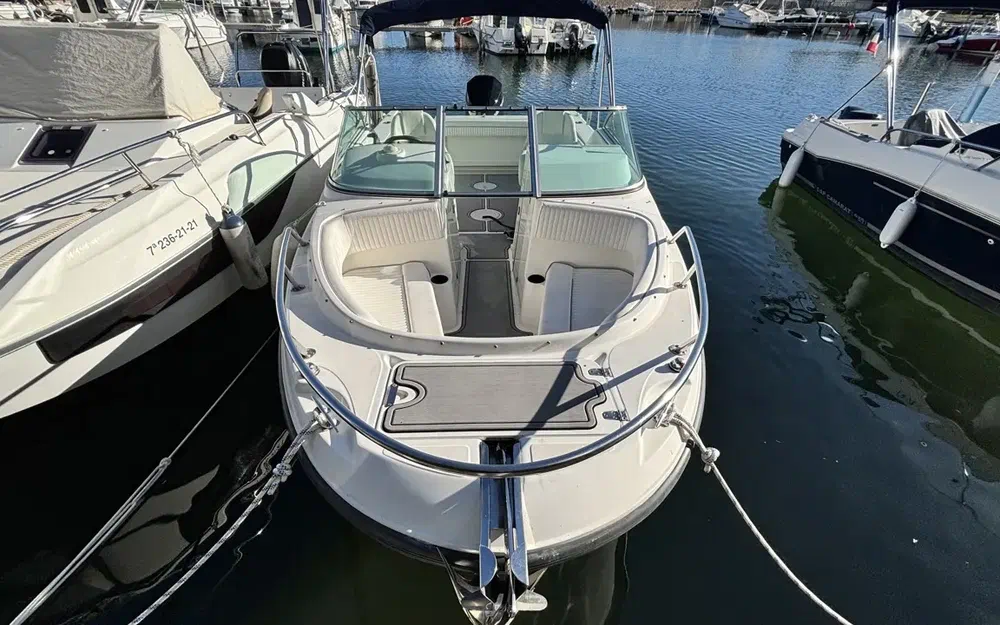 slider 2 Boston Whaler 210 Ventura