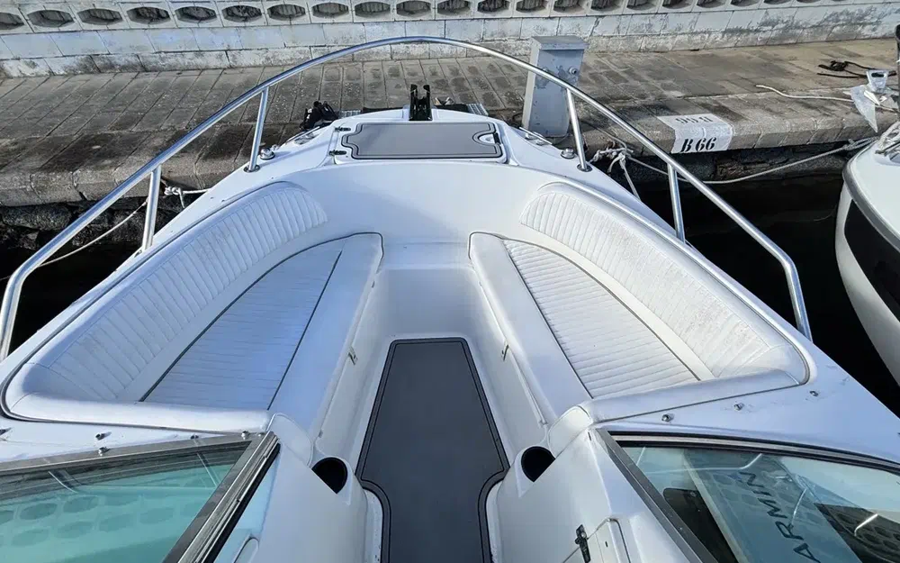 slider 4 Boston Whaler 210 Ventura