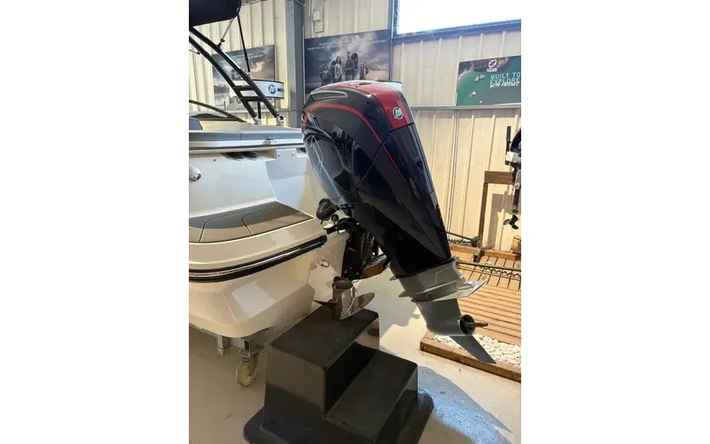 slider 7 Bayliner V20
