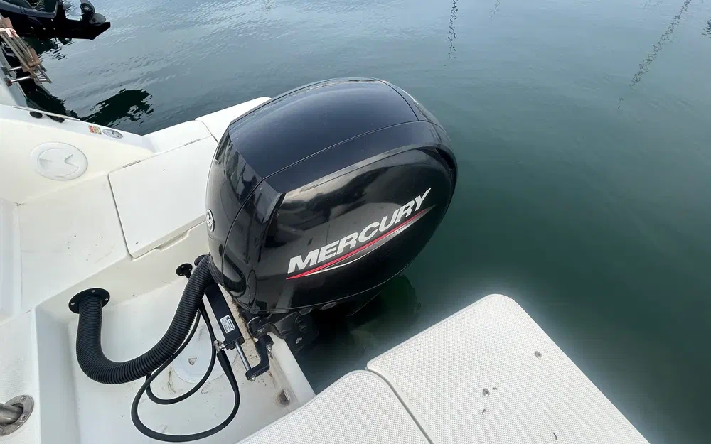 slider 29 Quicksilver Activ 675 Open