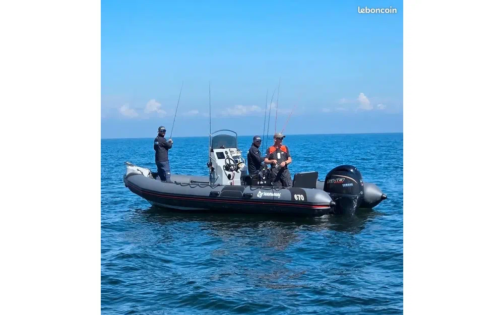 slider 0 Narwhal HD 670