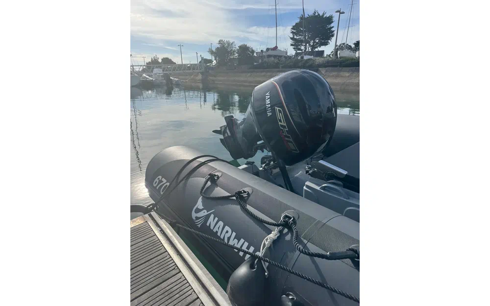 slider 2 Narwhal HD 670