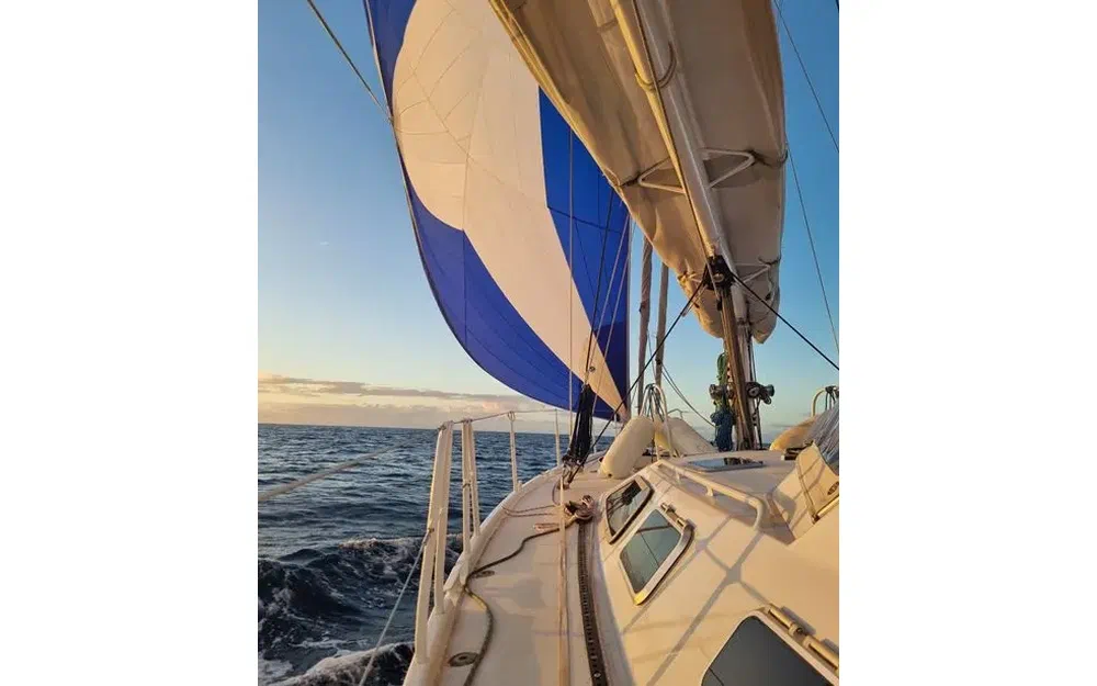 slider 37 Garcia Passoa 50