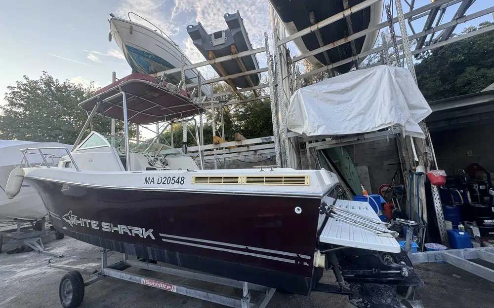 slider 0 Kelt White Shark 237