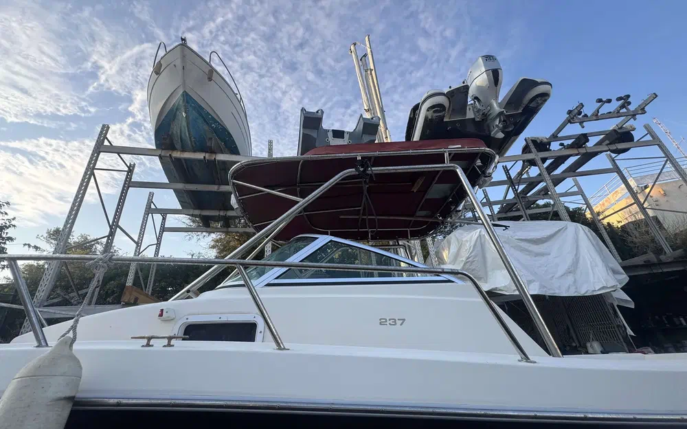 slider 9 Kelt White Shark 237