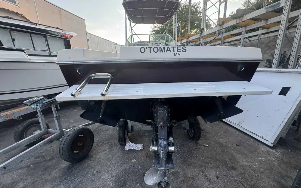 slider 10 Kelt White Shark 237