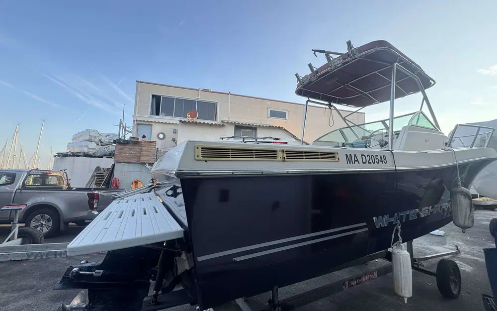 slider 11 Kelt White Shark 237