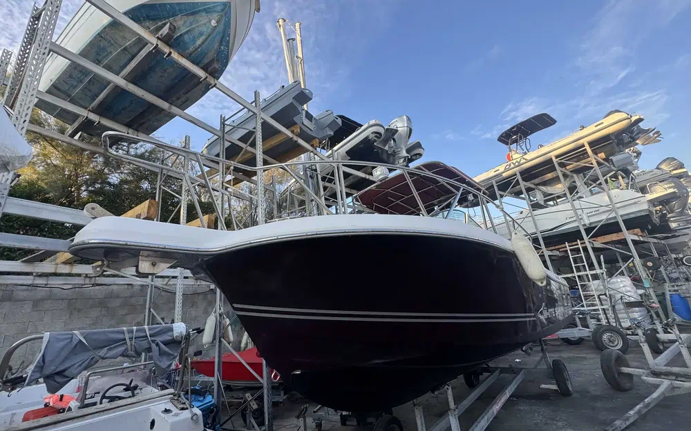 slider 1 Kelt White Shark 237