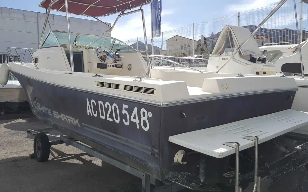 slider 1 White Shark 237