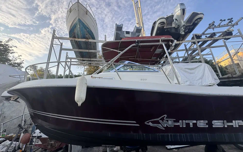 slider 2 Kelt White Shark 237