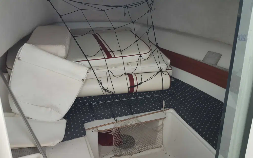 slider 3 White Shark 237