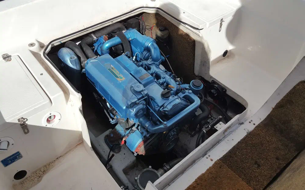 slider 5 White Shark 237