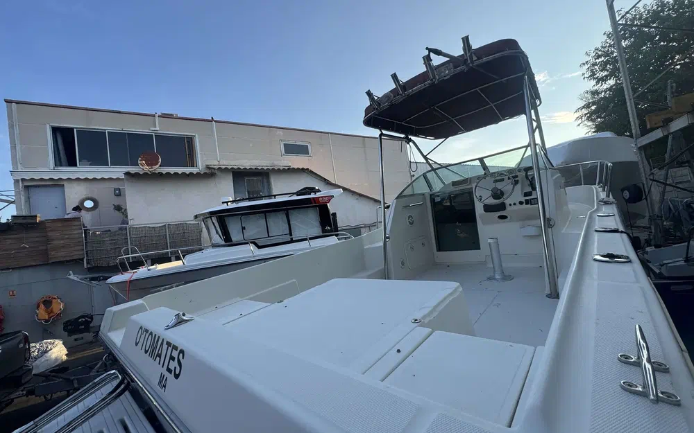 slider 8 Kelt White Shark 237