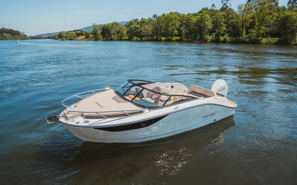 slider 1 Bayliner C21