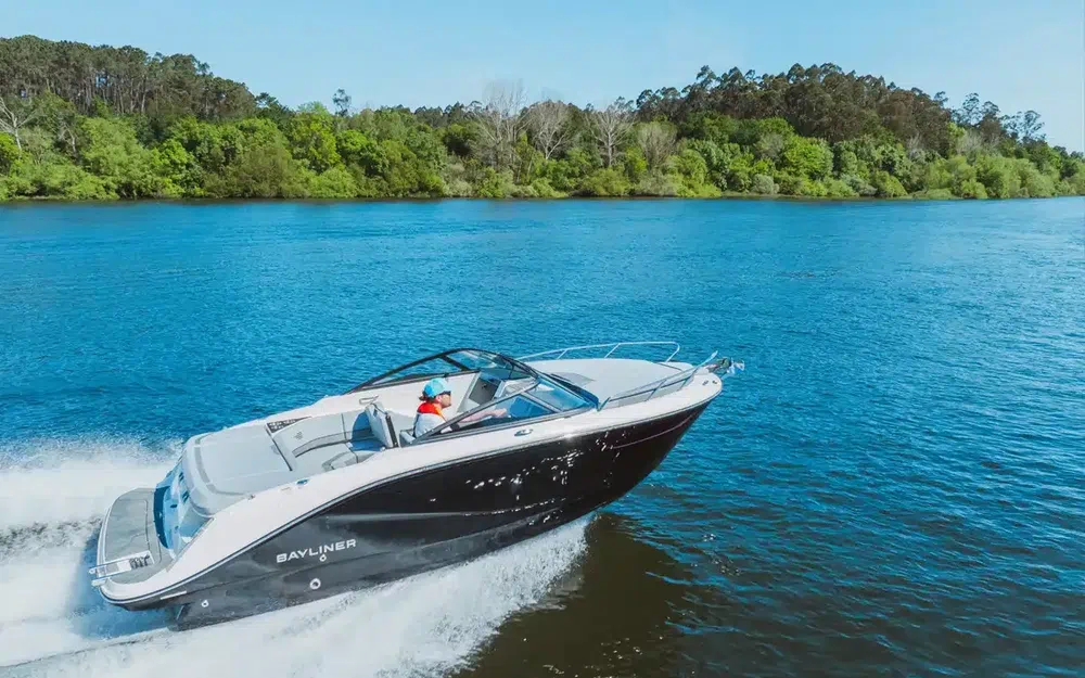 slider 5 Bayliner C21