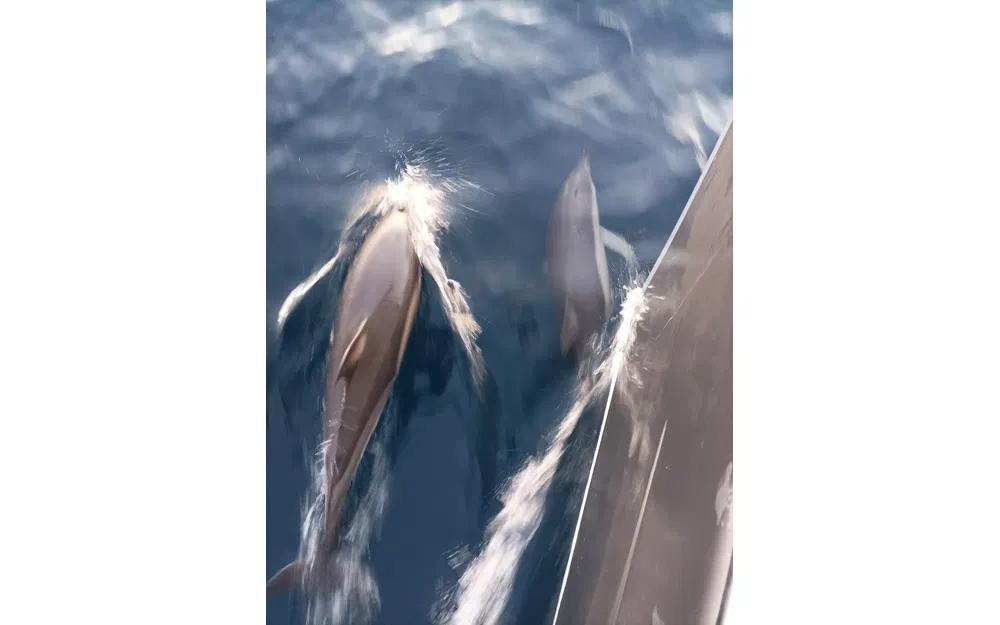 slider 30 Jeanneau Sun Odyssey 45 DS