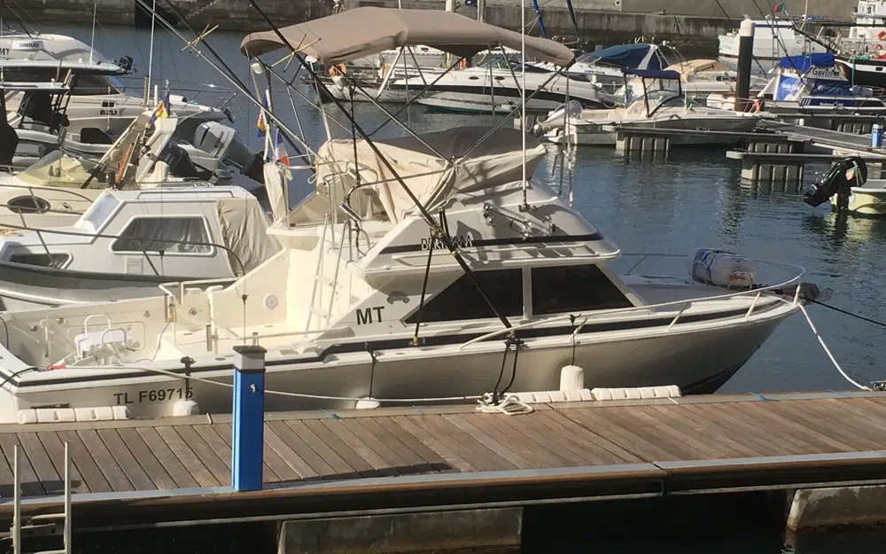 slider 1 Bertram 28 Flybridge