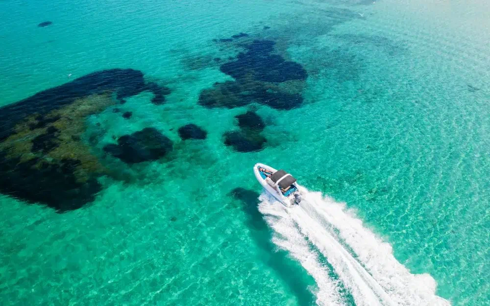 slider 1 Zodiac Medline 7.5