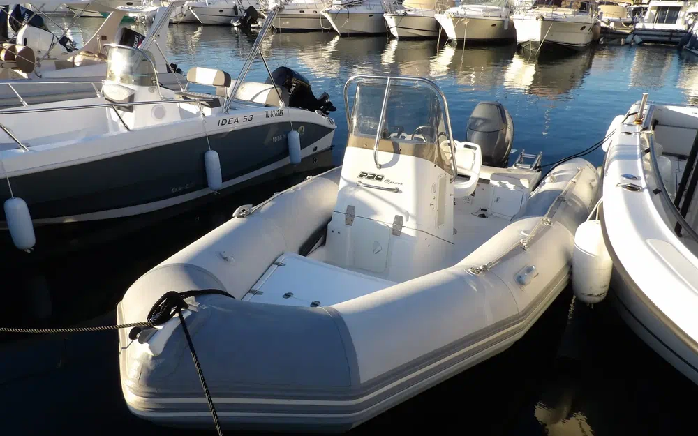 slider 1 Zodiac Pro 550 Open