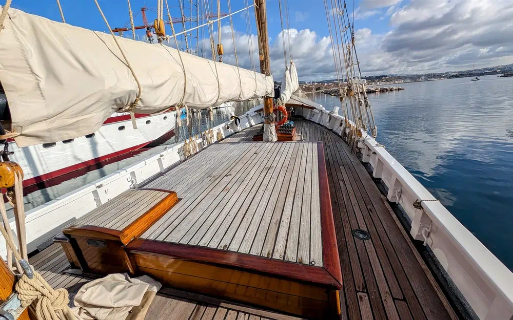 slider 10 Butzfleth Goélette aurique