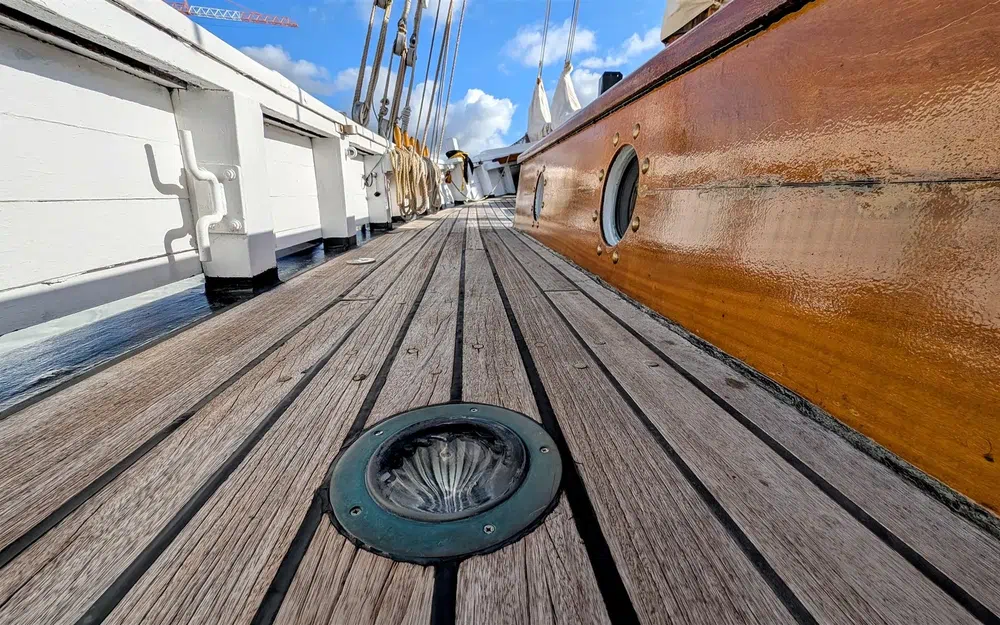 slider 11 Butzfleth Goélette aurique