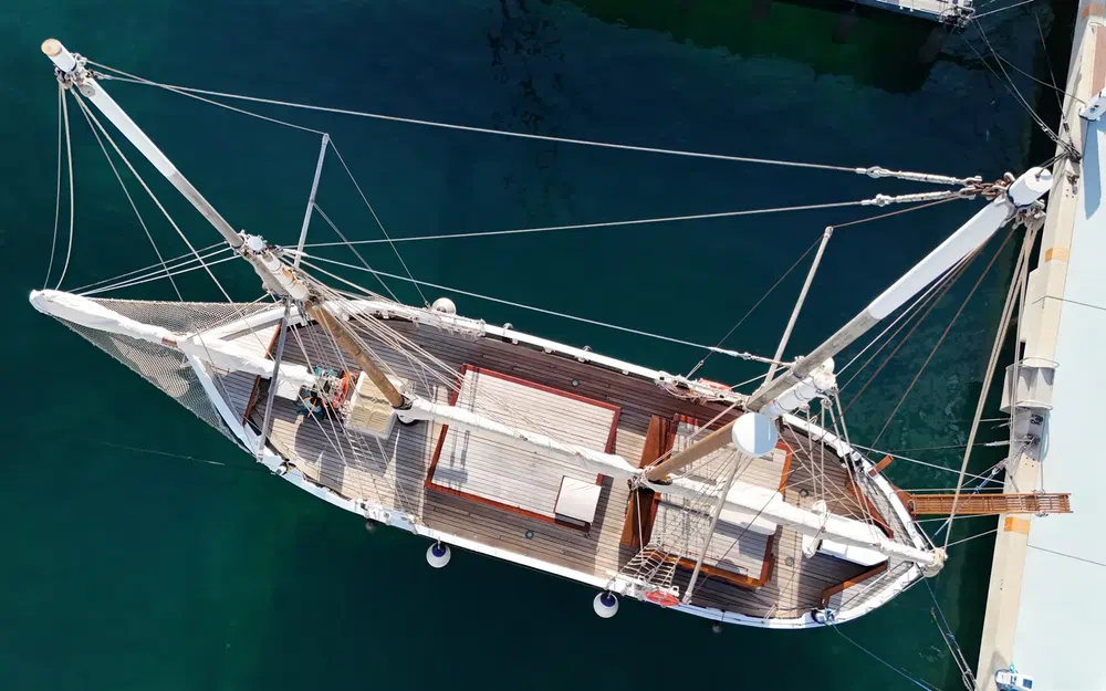 slider 4 Butzfleth Goélette aurique